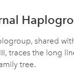 Joshies Maternal Line